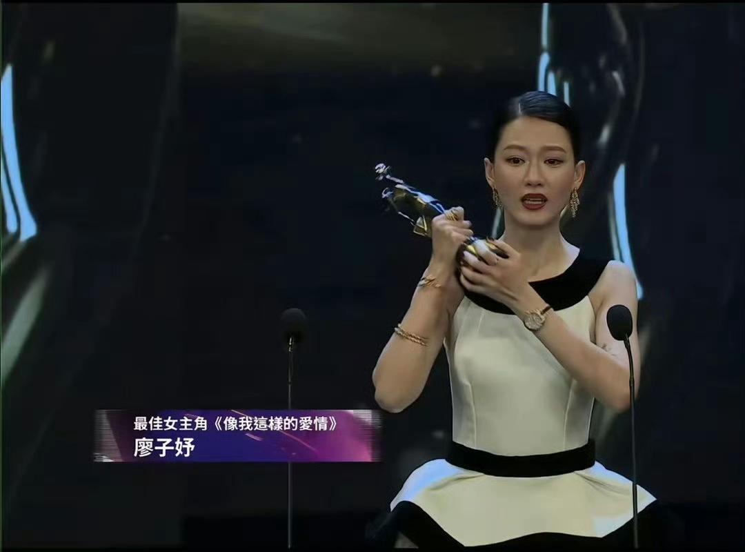 以后内地电影就别报名参加金像奖了，他们纯属自娱自乐。一部压了六年，票房只有70