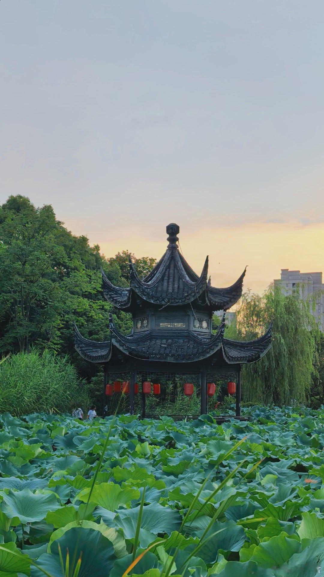 周末去公园，当时觉得很简陋，今天要上班，再简陋的公园都向往