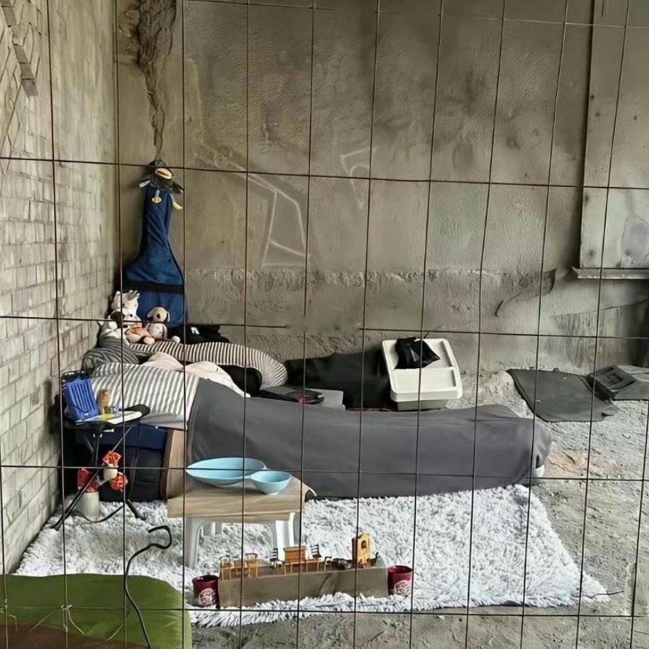 住个桥洞都能住这么精致以前一定是个有钱人