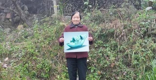 1955年，家住浙江龙泉一个名叫何招娣的农村小女孩在山上采药过程中，被一个树枝绊