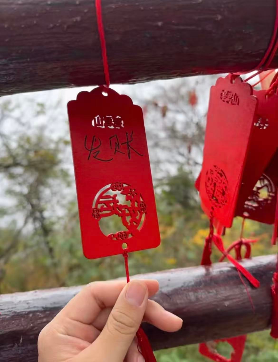 那很会许愿了哈哈哈哈哈哈哈有点虔诚但不多