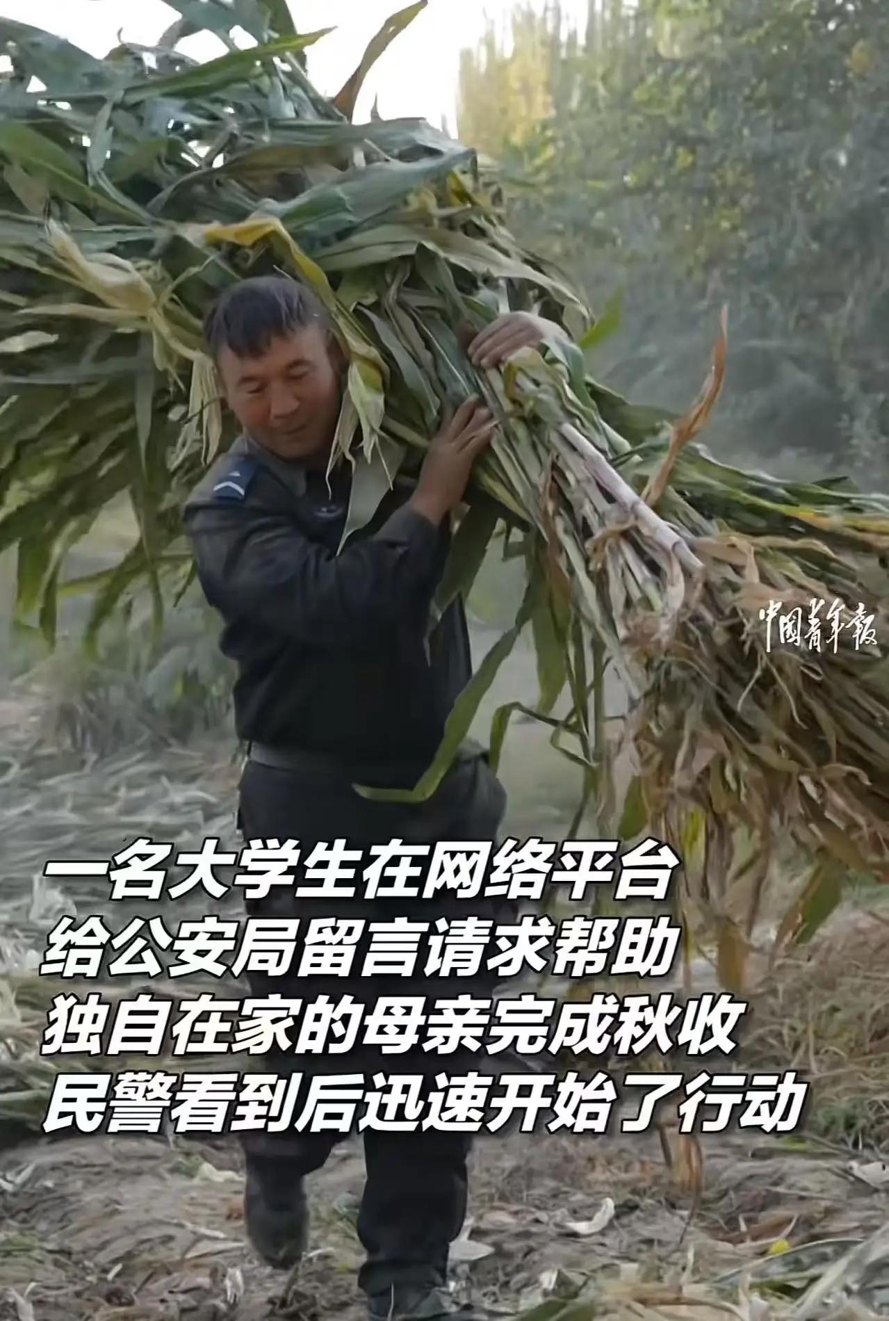 然而，事情还远没有结束。这位大学生的善意留言引发了网络上一场关于“基层公安”真正