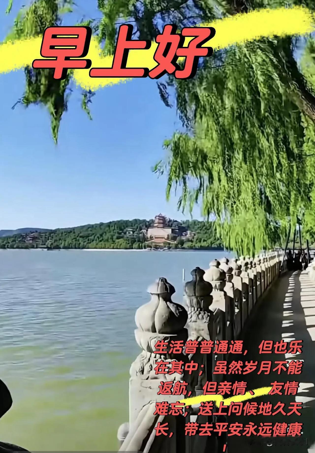 清晨的风很温柔，花很浪漫，你也很值得，早安。