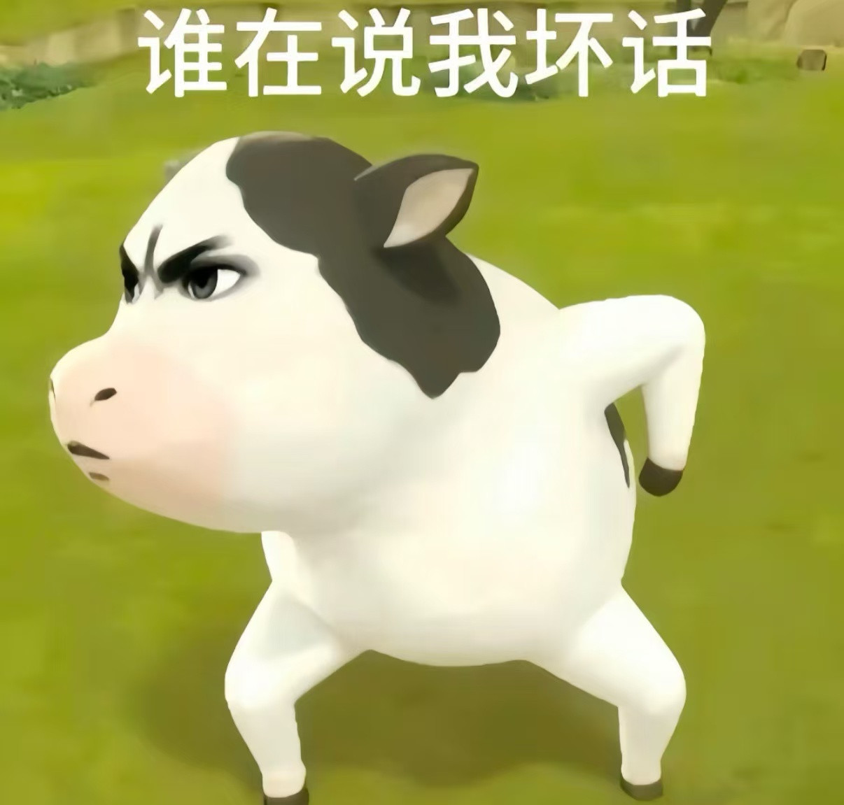 如果我们不是牛马，那换公司为什么叫跳槽