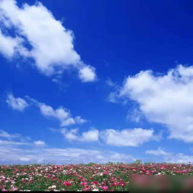 葬礼账本上，堂哥的名字后面是一片空白。早些年岳母走时，他往礼柜里塞过五千块，