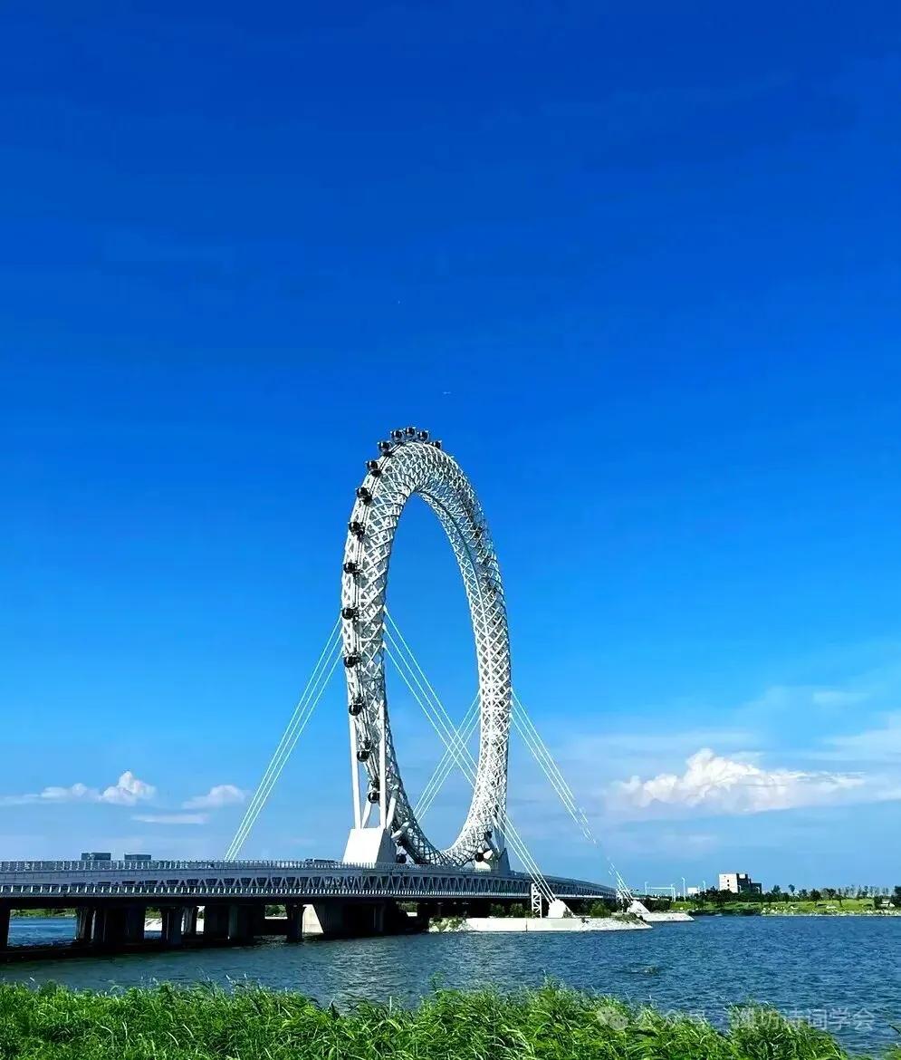 鹧鸪天•山东省潍坊市风景名胜之渤海之眼摩天轮渤海之滨立巨眸，凌虚揽月望瀛洲。