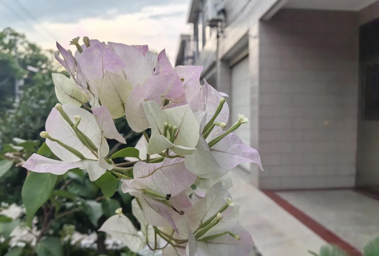 我们这里有户人家，婆婆和儿子媳妇一起住，平时儿子媳妇上班，家务活包括买汰烧婆婆全
