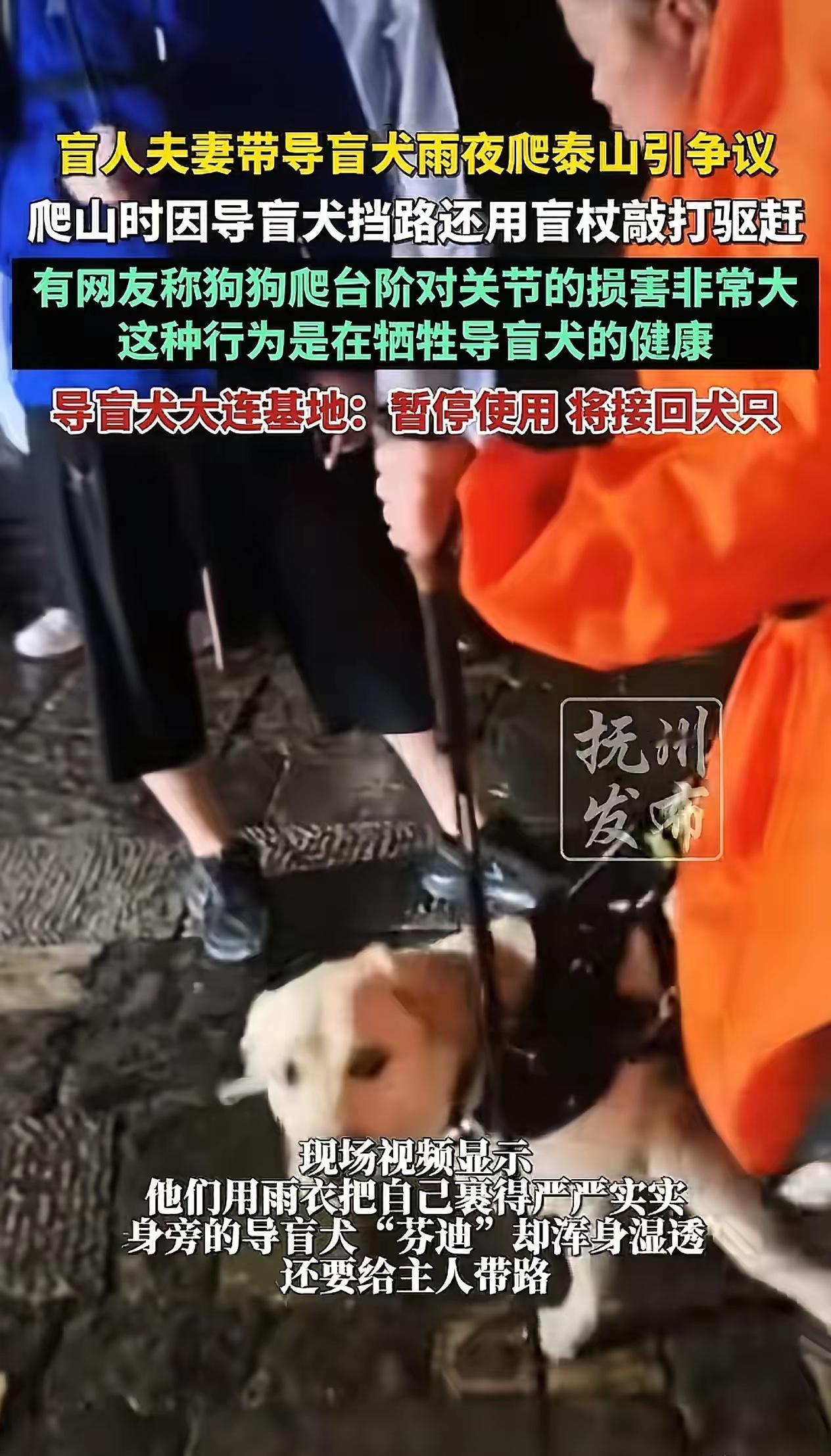 这对盲人夫妻做的事，实在让人看不下去。他们带着导盲犬爬泰山，下雨天自己穿着雨
