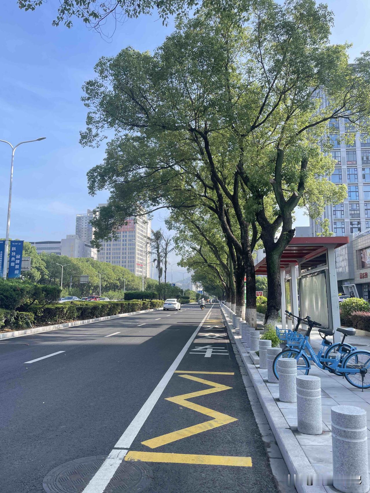 夏天来了，你们哪里热吗