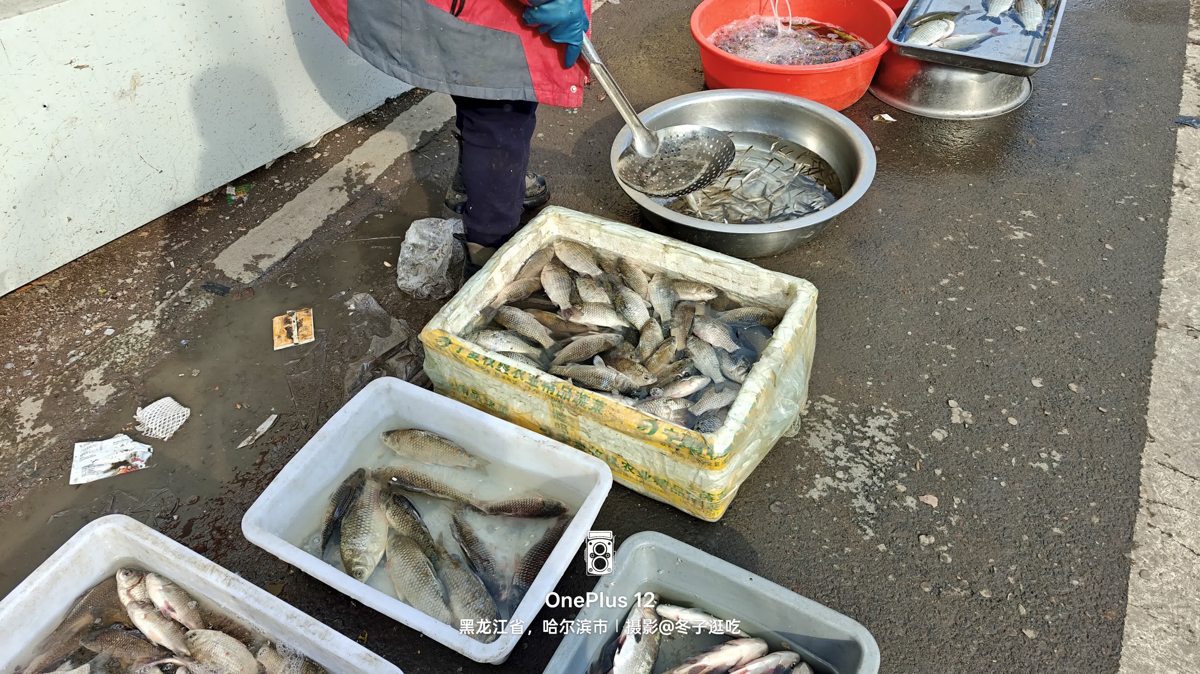 你知道吗，在我们黑龙江省木兰县这小县城里，市场街可是我超爱的一条徒步路线呢，虽然