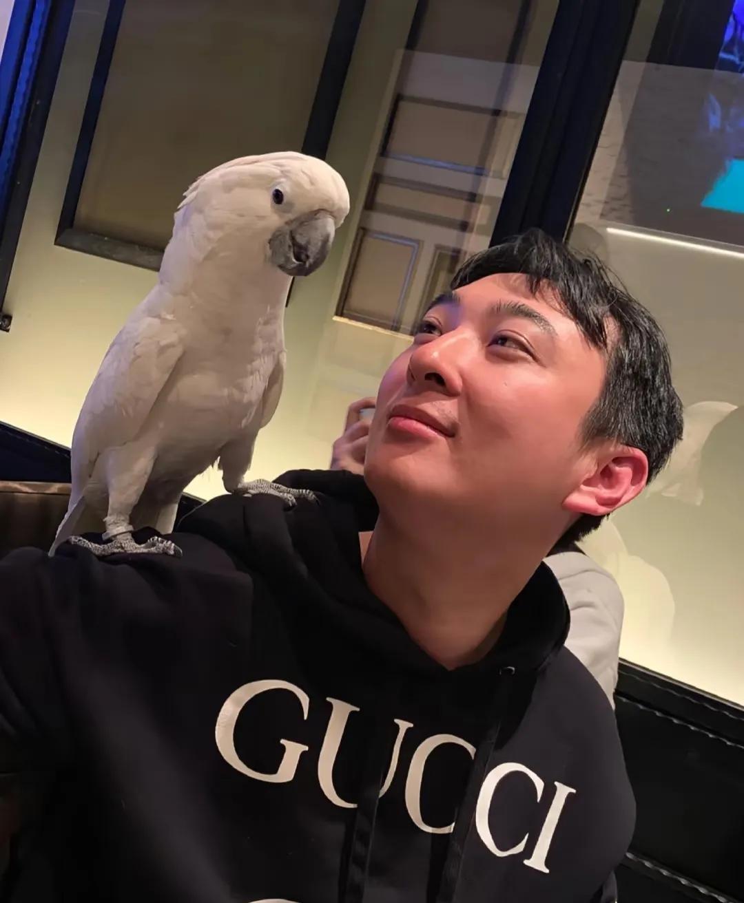 王思聪又上热搜了。这次不是因为换女朋友，而是有人担心他家没钱了。原因很简单，