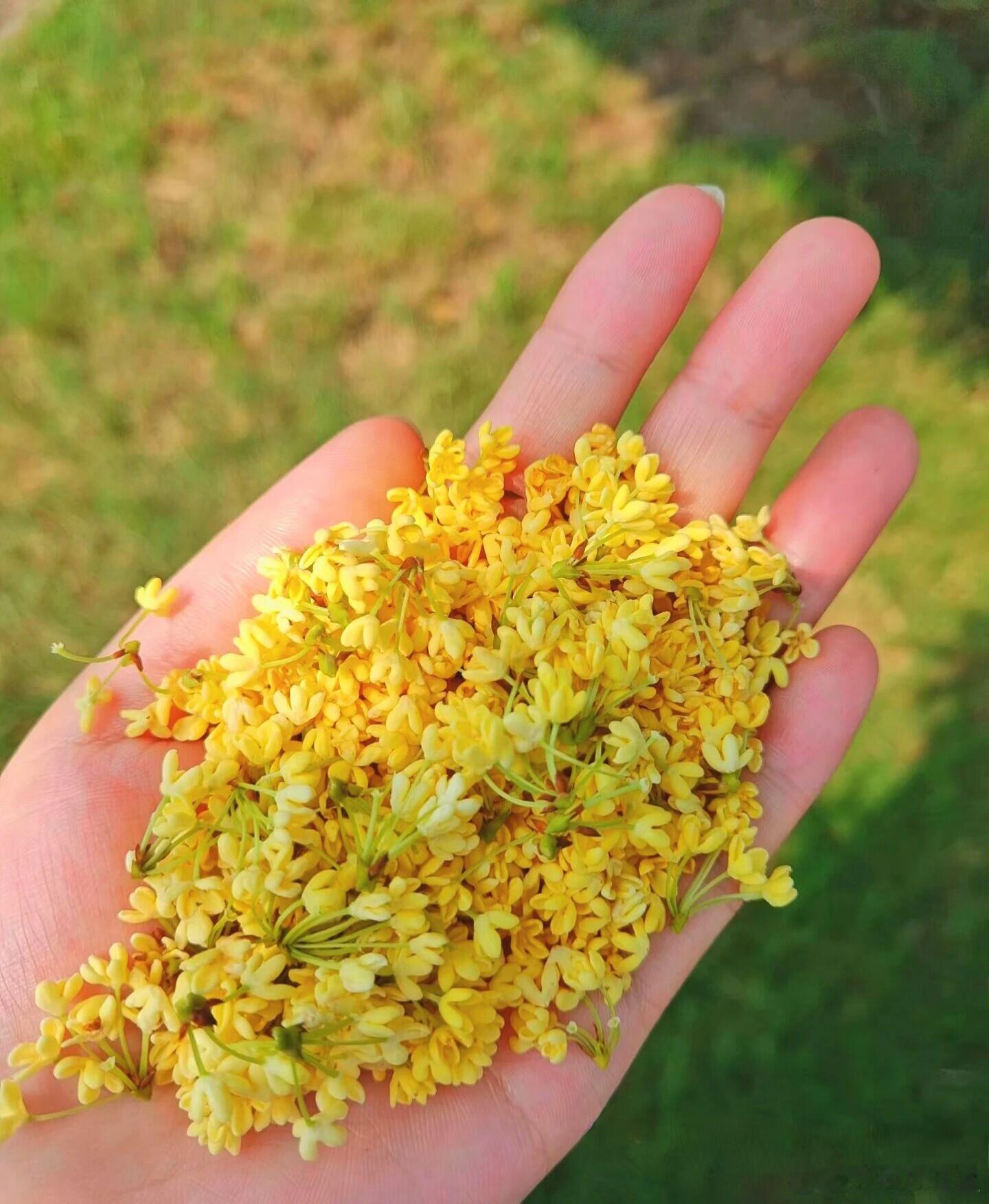 周一个股前瞻： 平潭发展：接替合富？周一明牌海峡创新：紧跟平潭，一荣具荣孚日股份