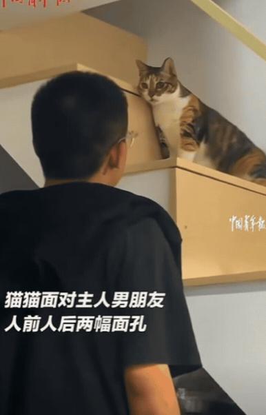 “笑不活了！”福建厦门，小伙去女友家玩，不料，女友养的猫咪竟然对着他撒娇，小伙还