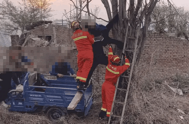 “都是贪吃惹的祸！”北京，男子晚上10点爬上路边一香椿树摘香椿，结果脚下一滑，整