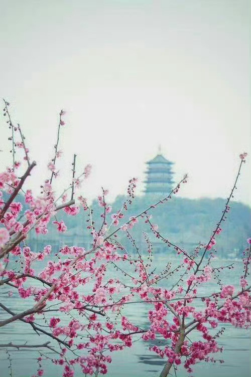 西湖美景三月天，春雨如酒柳如烟。