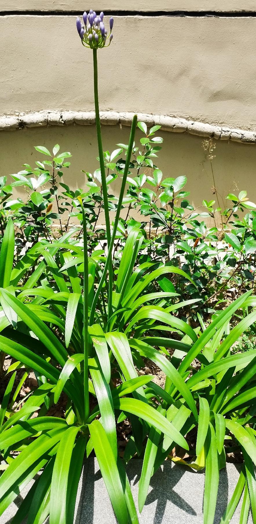 我是80岁的老人，70岁患上凶险的妇科癌，大多数活不过5年，我活过来了我明白，只