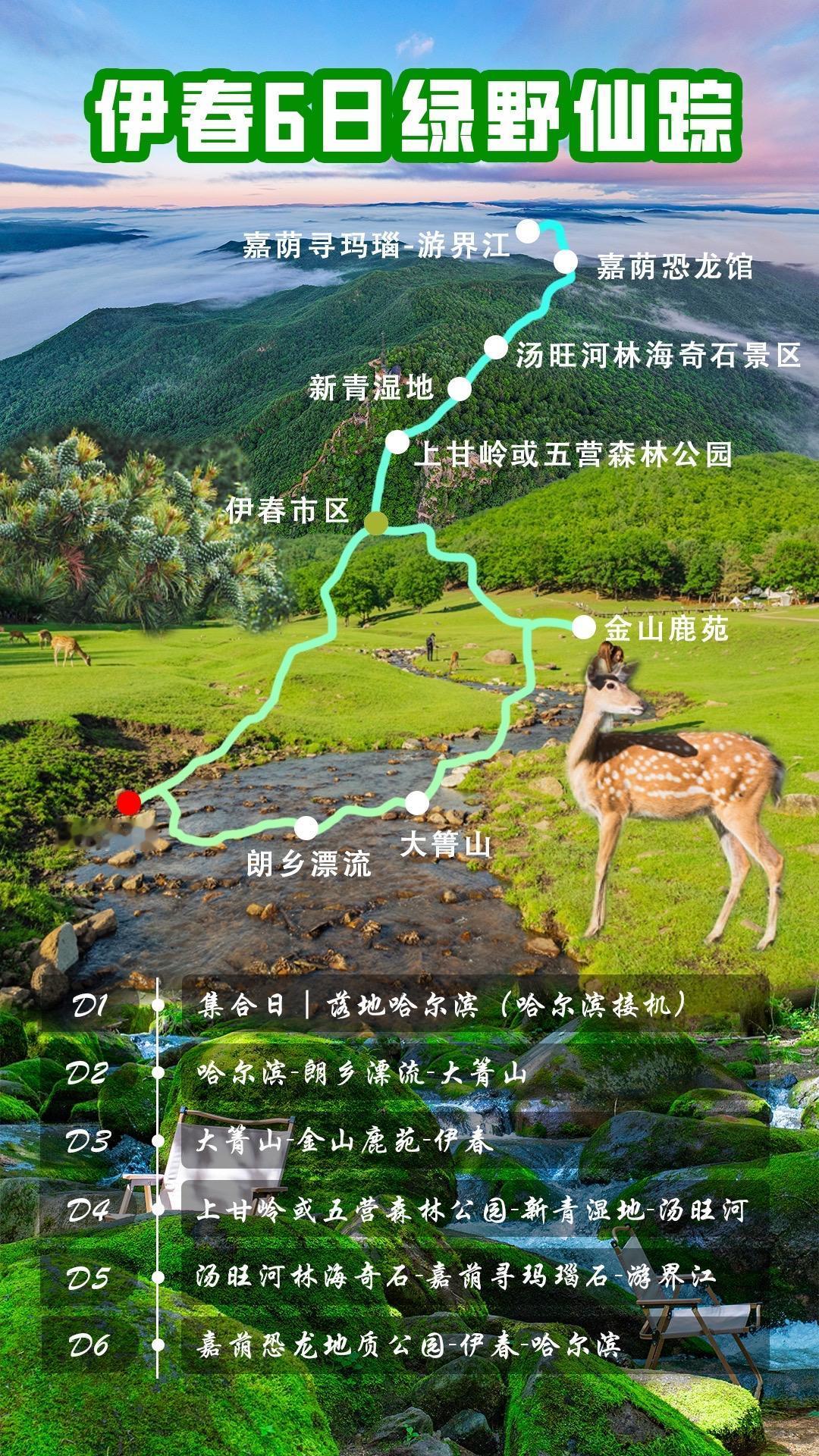 ❗️伊春这座宝藏小城的来头可不小1️⃣小兴安岭，3.3万平方公里的森林面积，9