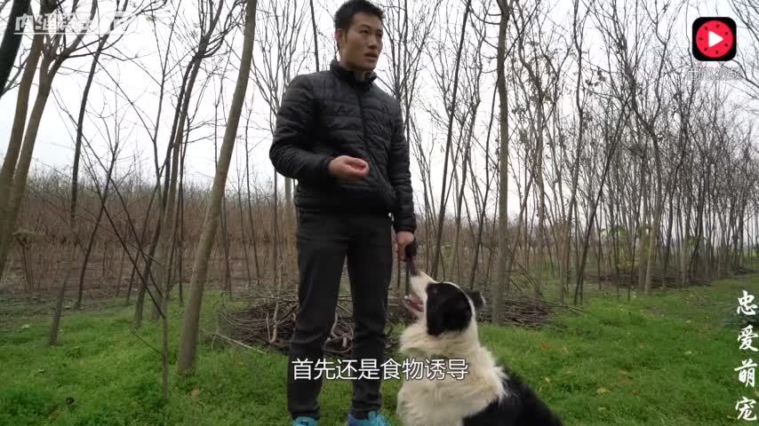 12410429752078892421.jpg?id=0
