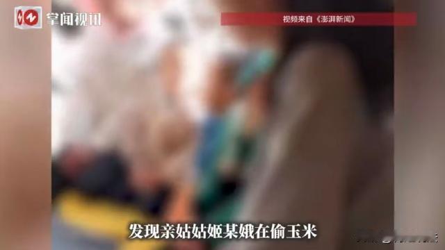 陕西榆林，女子去地里干活，发现她照顾了30多年的亲姑姑正在偷自己家玉米，女子质问