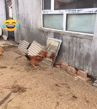 看我今天不灭了你