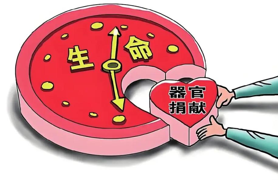 遗体器官捐献时，为何要对遗体打麻药？难道死了还能感觉到疼痛？老李是个普通的中