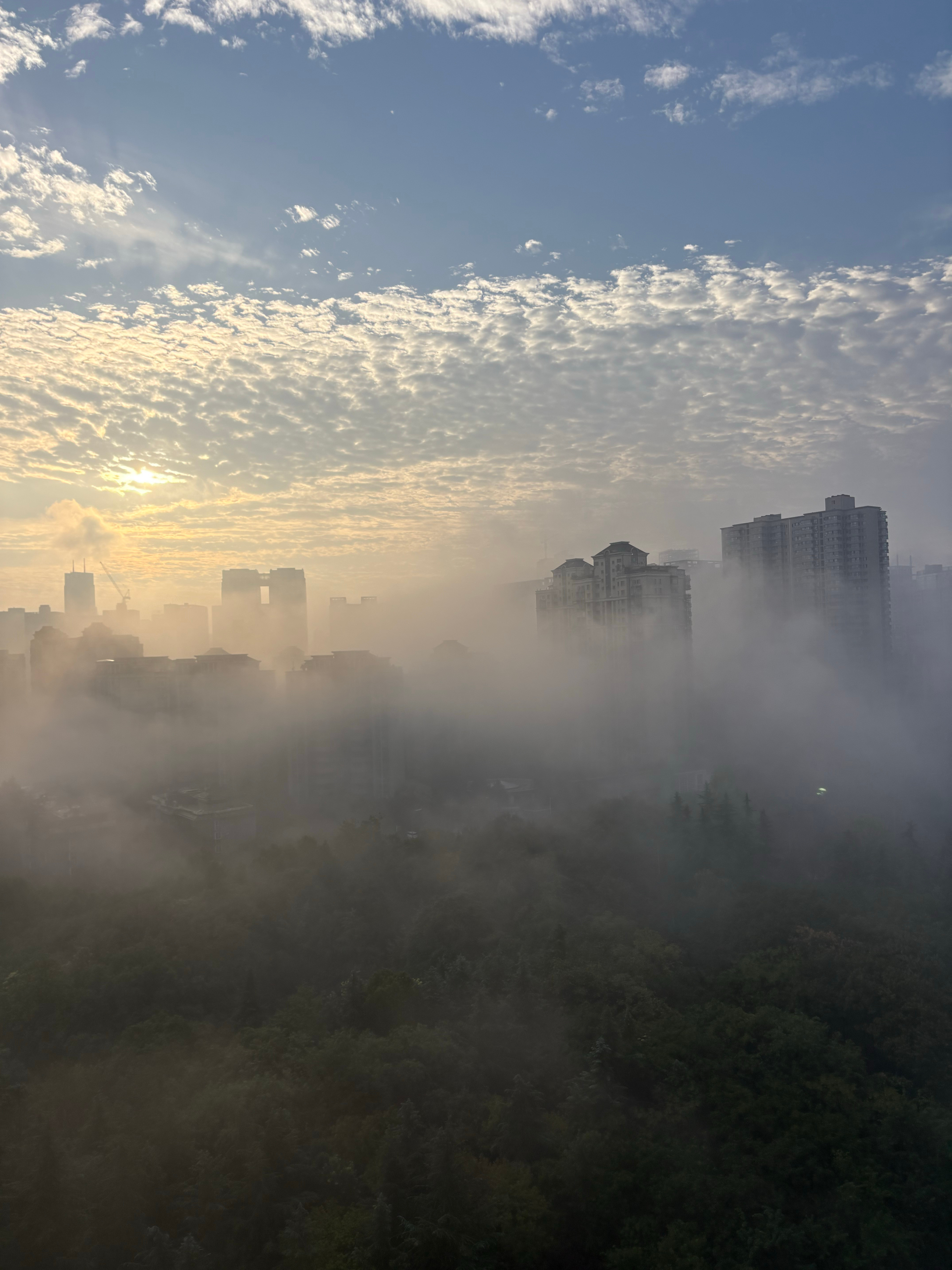 美哉，壮哉，西安大雾黄色预警。西安的雾​​​
