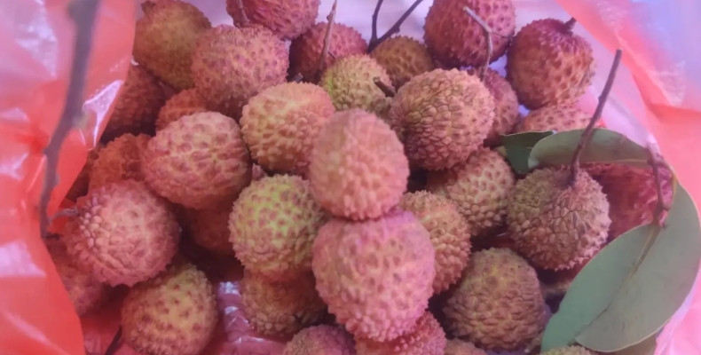 今晚一边吃桂味荔枝，一边追电视剧【长安的荔枝】。最近在中央8台热播的电视剧【长