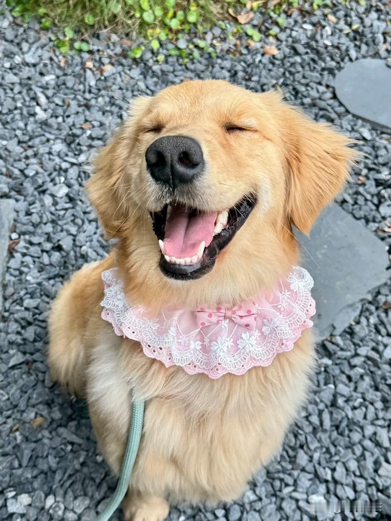 人生不过几万天，舒服一天是一天。把欲望降至最低，你的人生也很幸福。把欲望填满