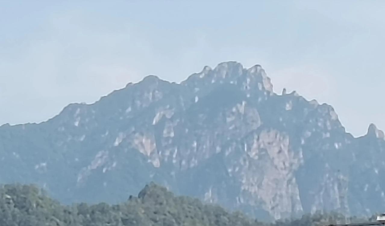 狐狸报恩（故事）作者诚人位居河南西部的伏牛