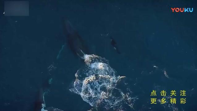 12412626128614250363.jpg?id=0