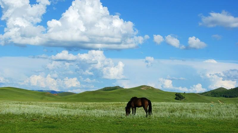 分享一张相册里随手拍的天空乌兰布统大草原的云朵底部都是平的，据说草原是云的故乡，