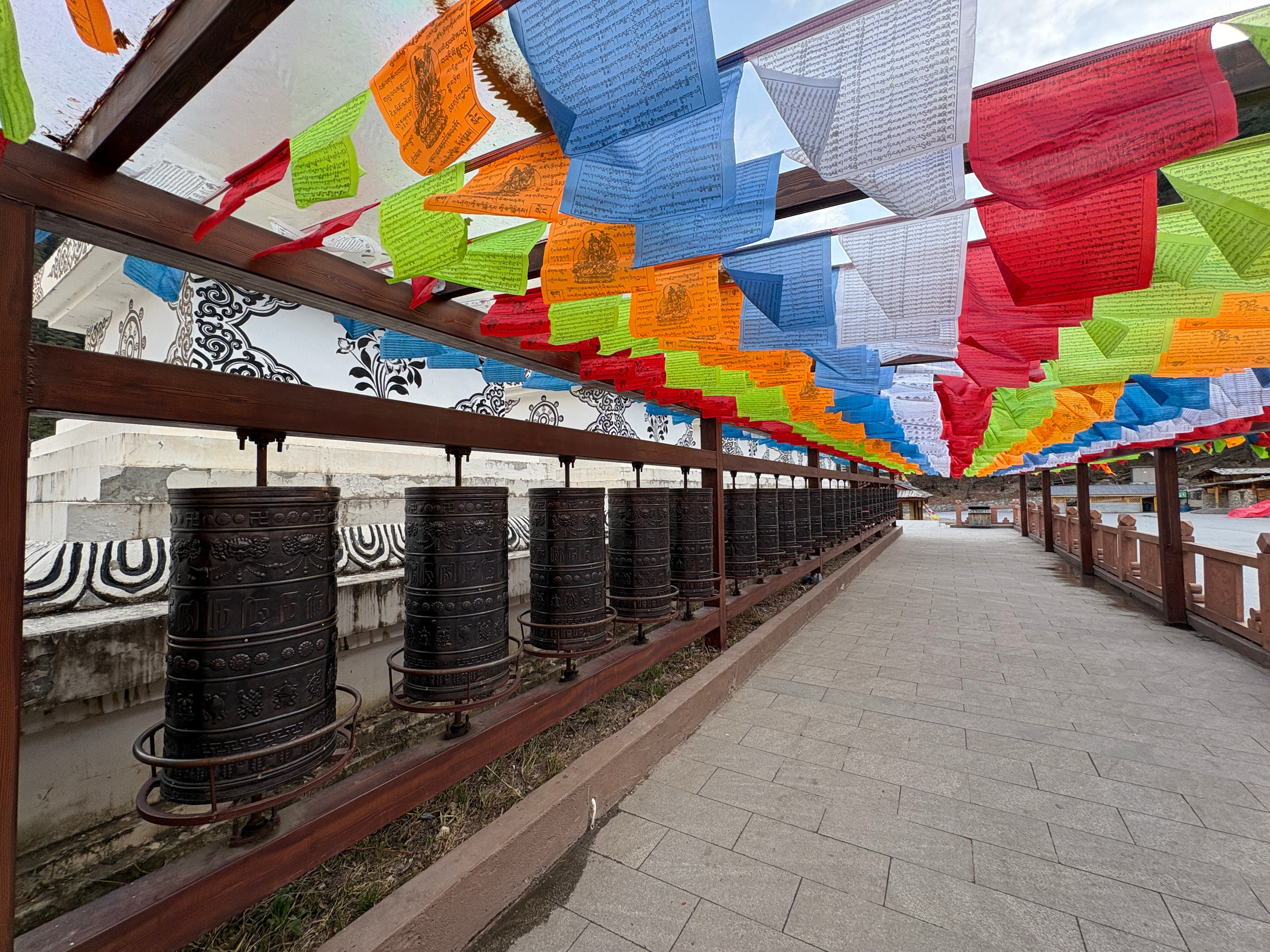 在九寨沟到树正寨，遇到本土“居民”：咪咪，访问了一下它，得知现在每年九寨沟经营公