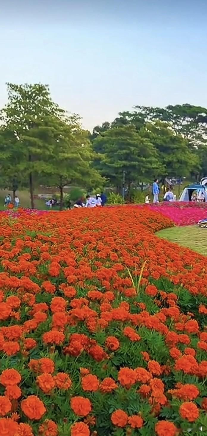 刚刚我和同事正在收拾房间，服务生小罗远远的就冲我喊，阿姨，告诉你一个好消息！我