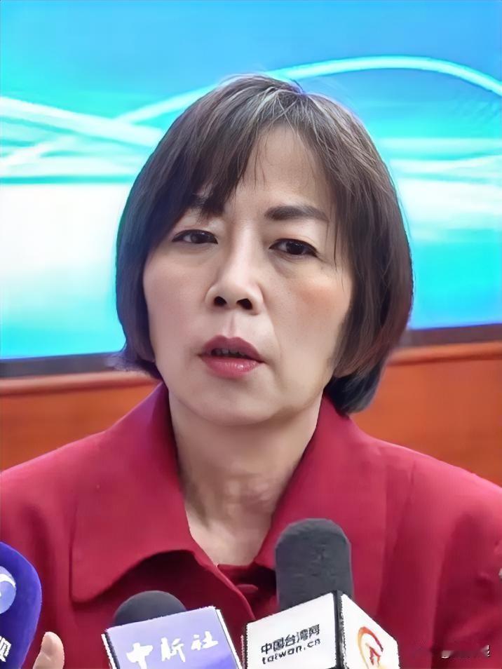 媒体人黄智贤在节目中称，“青鸟的攻击堂堂正正，蓝白是在背后捅刀”这是台湾媒体