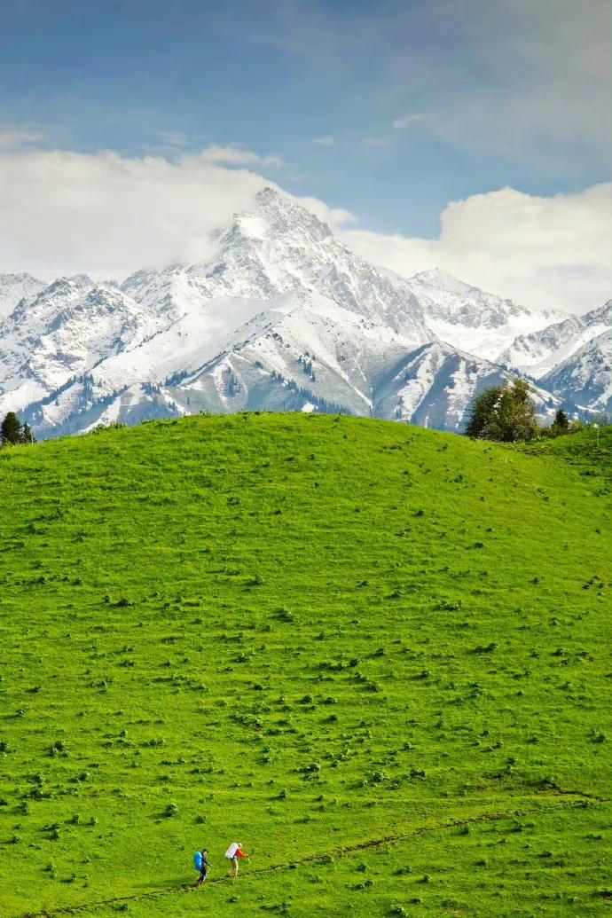 前几天跟一位金陵中学的学生家长聊天，其实他们家的孩子成绩还可以，大概在年级200