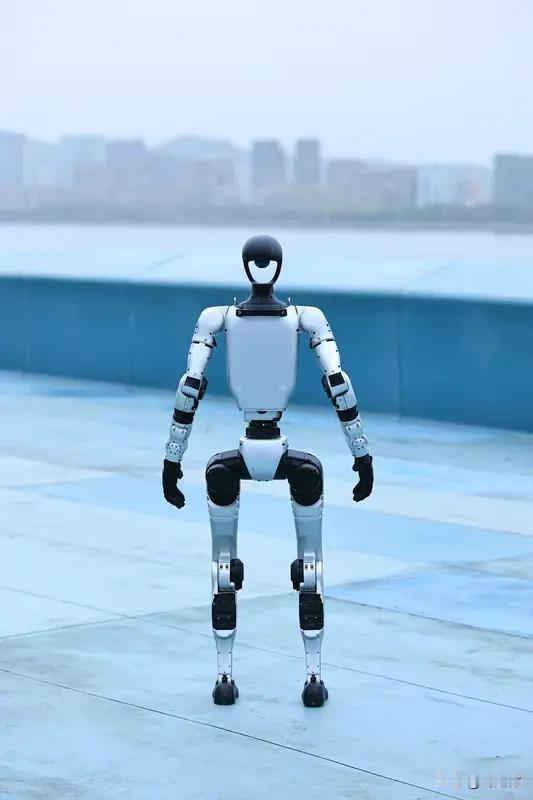 外媒：中国机器人让西方产品相形见绌外媒：中国机器人令西方产品黯然失色外媒称中