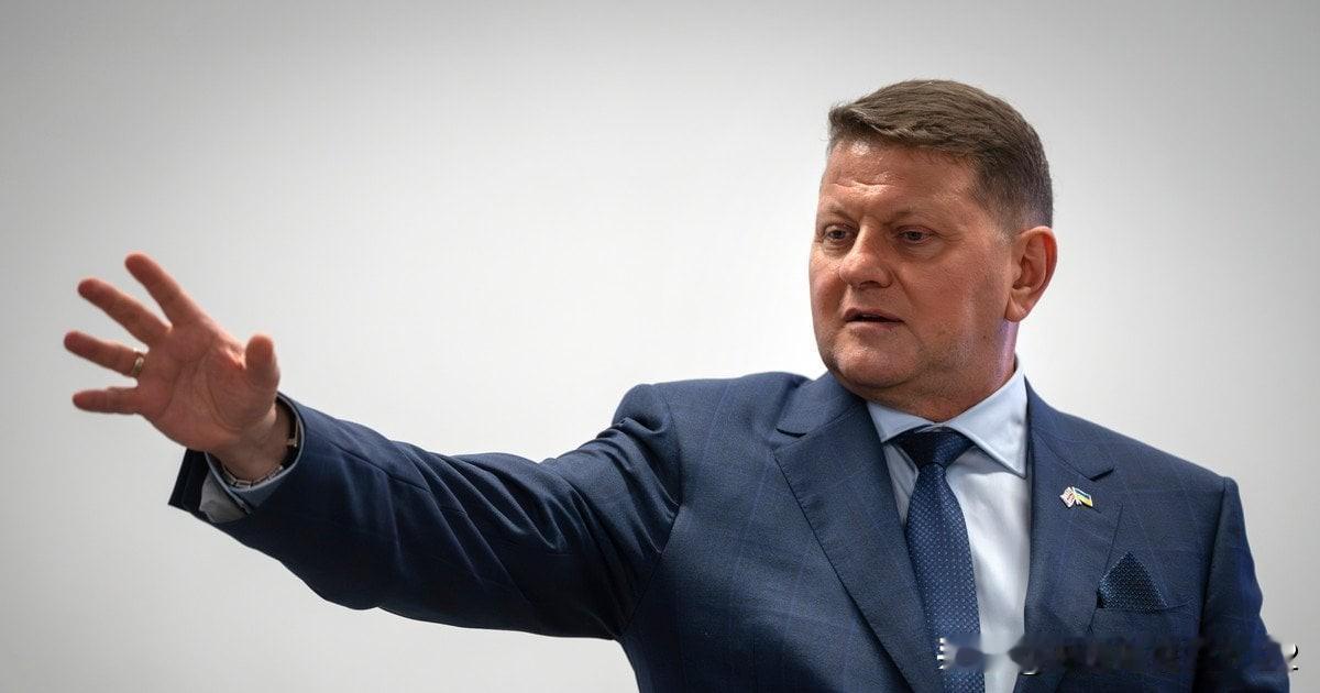 不再是科幻：扎卢日内警告，战争已进入新时代摘要：扎卢日内将当前的乌克兰战场