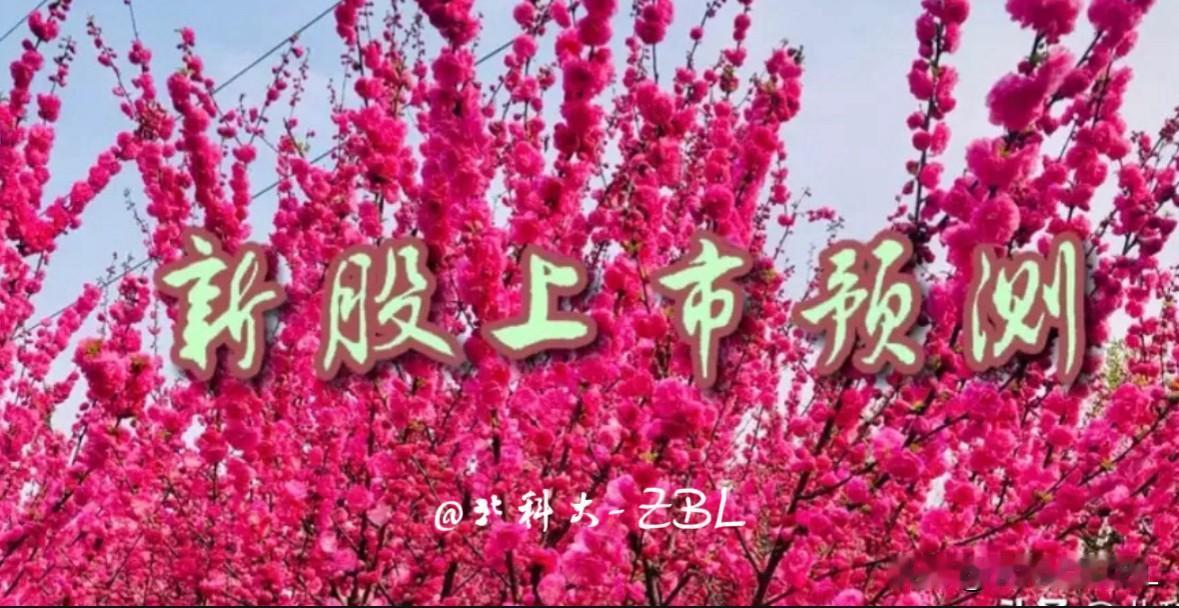 双英集团周三（8月19日）上市，汽配股有春天吗双英集团将于2026年8月19
