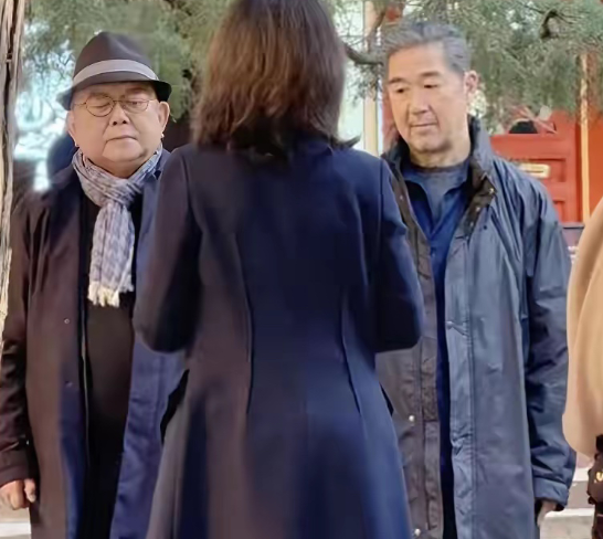 70岁张国立搀扶着76岁王刚恍惚中才发现：他们都老了剧中的对头，现实里的挚友