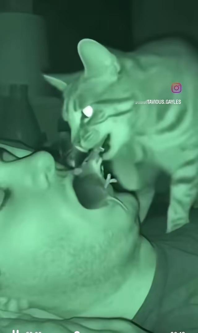 投之以鱼报之以鼠主人：奇怪了，今天睡醒肚子怎么这么饱呢？[捂脸哭][赞]