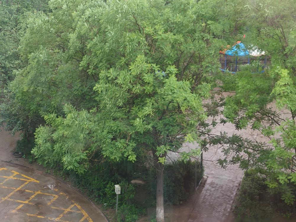 中国女排的名单，就是个名利场，残酷得不带一点人情味。主角，陈厚羽。去年，