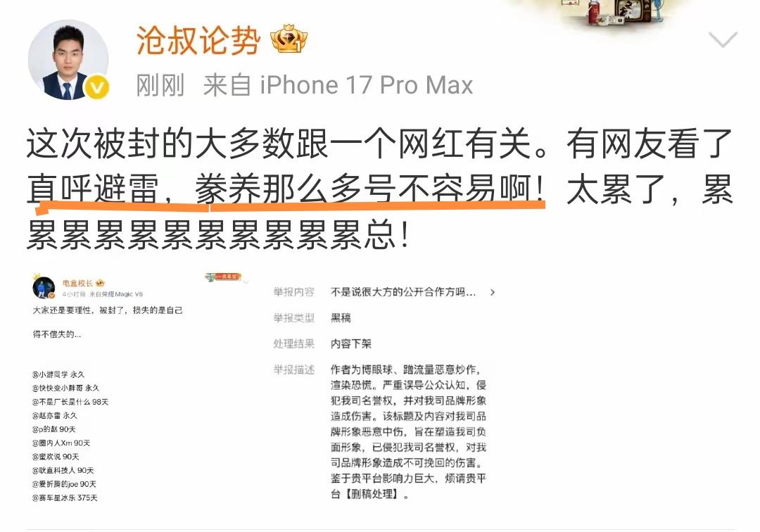 避什么雷，谁豢养的，好难猜啊。还是雷军雷总善良、正直、真诚，多次公开呼打击黑公关