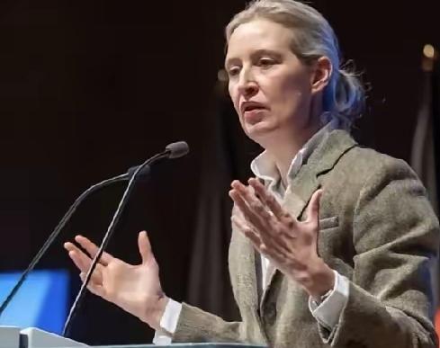 德国铁娘子放话，若她上台执政的话，那么她做的第一件事情，就是要泽连斯基赔偿炸毁北