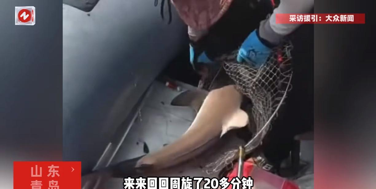 “活久见！”近日，山东青岛，一男子在胶州湾钓鱼时，鱼钩突然被咬住并且拖行了60多