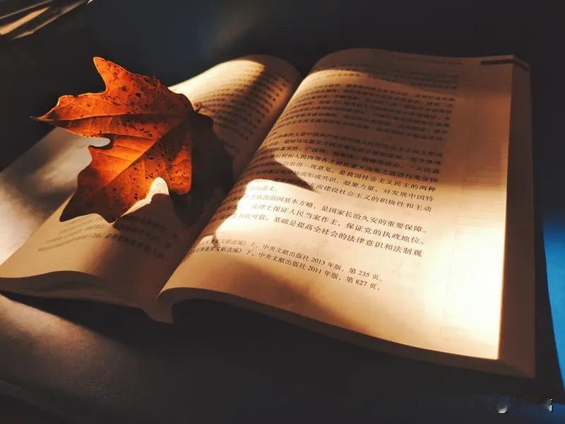 真正有智慧的人，和谁都不生气，对什么都不在乎，智慧的人能控制情绪，不被情绪左右。