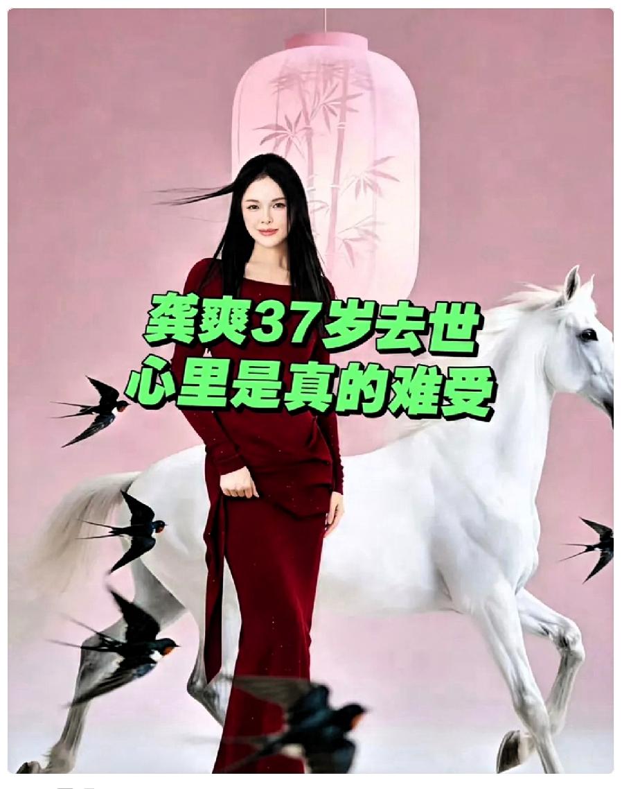 今天中午听到龚爽走了的消息，整个人都懵了。本来应该出现在国家大剧院举行的阎维