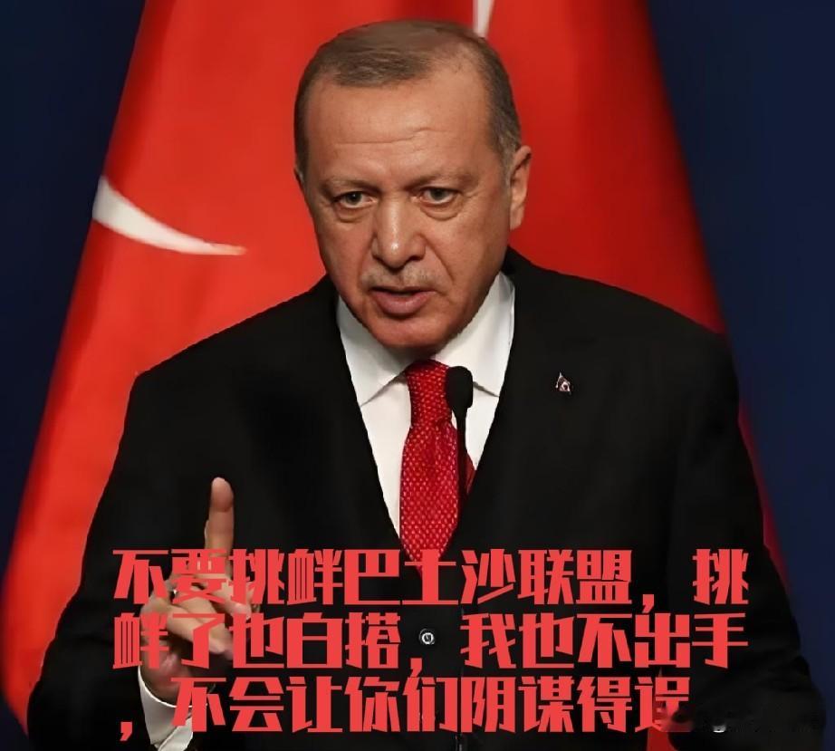 世界真乱了，巴土沙联盟成立后，都想验证一下联盟成色，先是印度撞击巴基斯坦的军舰，