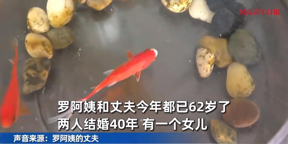 “这下后悔了吧！”6月7日，重庆，一位60多岁的阿姨因为在街上大庭广众之下骂了丈