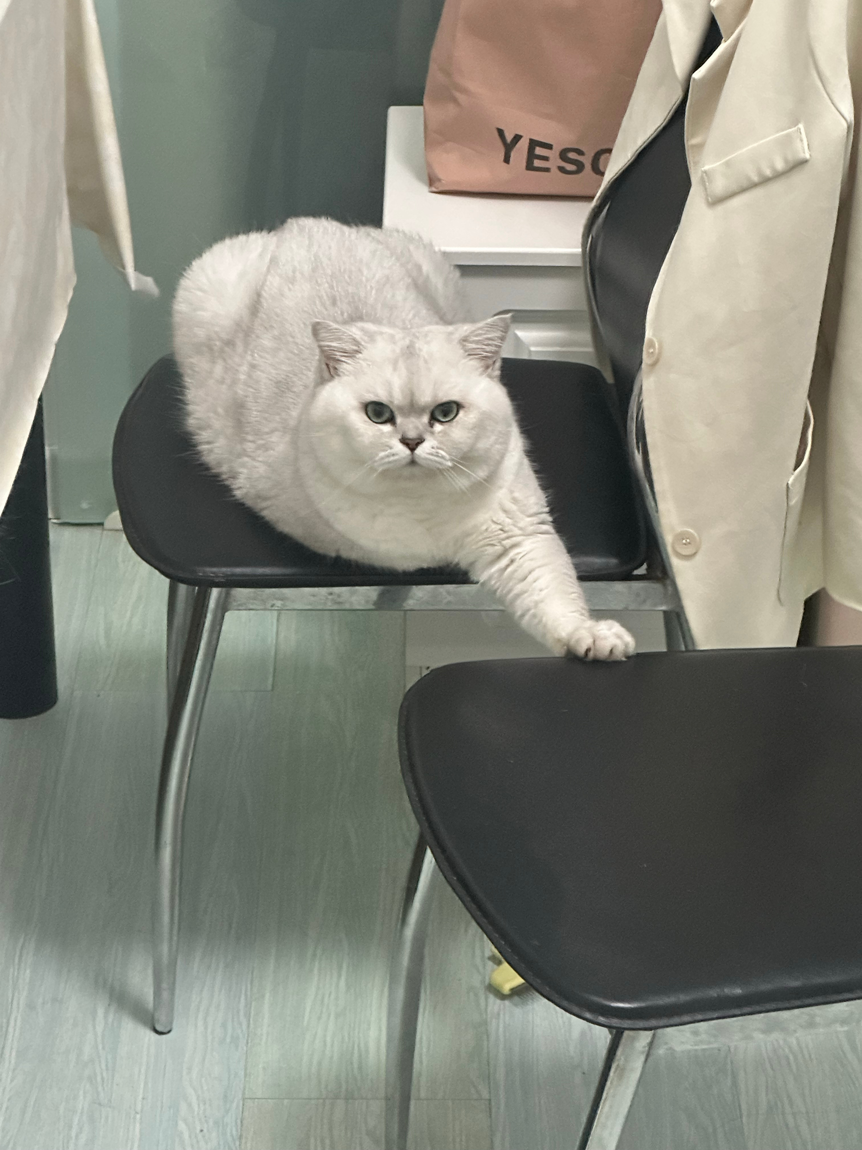 一共俩座儿我儿坐一个占一个​​​