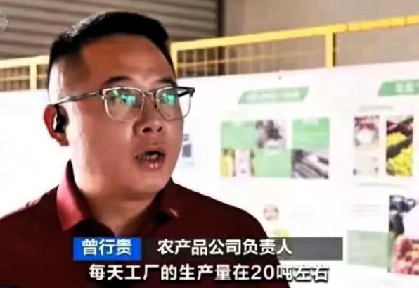 不扒不知道，一扒吓一跳！这个福建"杨梅商会会长"的身份，水太深了！他不仅是会长，